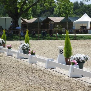 PISTA DRESSAGE 20X80M – S/LETRAS