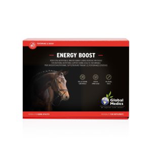 ENERGY BOOST 6x60g
